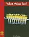 Book What Makes Ten? (Yellow Umbrella Books)