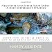 Negotiate and Settle Your Debts - A Debt Settlement Strategy: Learn how to settle debts as low as 20 cents on the dollar (Volume 1)