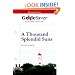 GradeSaver (TM) ClassicNotes A Thousand Splendid Suns: Study Guide