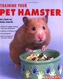 Training Your Pet Hamster