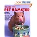Training Your Pet Hamster