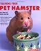 Training Your Pet Hamster