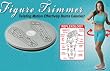 Figure Trimmer Magnetic Wave Disc Figure Trimmer Magnetic Wave Disc