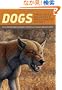 Dogs: Their Fossil Relatives and Evolutionary History