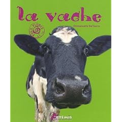 Vache