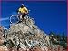 mountain bike sales Best hardtail under $800.00?