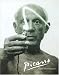 Picasso: Fired with Passion