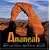 Ananeah