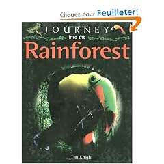 Journey into the Rainforest