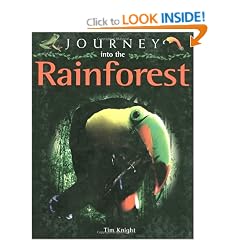 Journey into the Rainforest