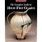 Ceramic Arts - Noteworthy Books