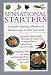 Book Sensational Starters (Cook's Essentials)