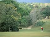 Sandals Golf Course, Ocho Rios, Jamaica, West Indies, Central America Art Photographic Poster Print by Sergio Pitamitz, 40x30