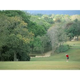 Sandals Golf Course, Ocho Rios, Jamaica, West Indies, Central USA Art Photographic Poster Print by Sergio Pitamitz, 40x30