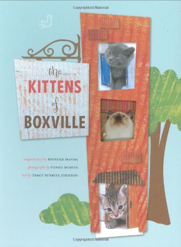 Kittens of Boxville