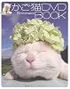 かご猫DVD BOOK (DVD付)
