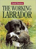 The Working Labrador