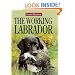 The Working Labrador