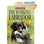 The Working Labrador