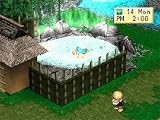 Eigenschaften ak tronic  / Harvest Moon: Back to Nature (Software Pyramide)