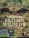 Nick Baker's British Wildlife: A Month by Month Guide