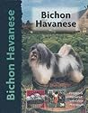 Bichon Havanese (Pet love)