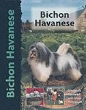 Bichon Havanese (Pet love)