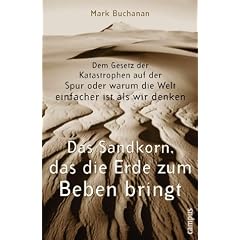 Das Sandkorn, das die Erde zum Beben bringt: Dem Gesetz der Katastrophen auf der Spur oder warum die Welt einfacher ist, als wir denken