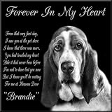 6 x 6 Lazer Gifts Personalized Black Granite Pet Memorial Marker Style Brandie
