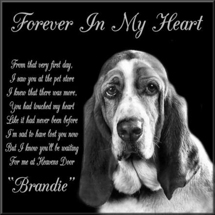 6 x 6 Lazer Gifts Personalized Black Granite Pet Memorial Marker Style Brandie