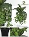 TWO Pre-Potted 19" Artificial Home Decor Plant in tin pot