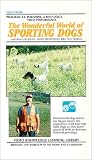 Review   / The Wonderful World of Sporting Dogs-Polishing a Bird Dog's Field Performance