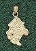 Anderson Jewelry East Carolina Pirates Petey 3/4 Gold Charm