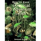 how to keep tropical aquarium fish