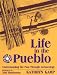 Life in the Pueblo: Understanding the Past Through Archaeology by Kathryn Kamp ISBN 0881339644