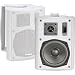 Phoenix Gold ATo5 5.25-inch Indoor/Outdoor Speakers (Pair)