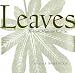 Leaves in Myth, Magic & Medicine