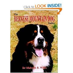 The Bernese Mountain Dog Today