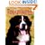 The Bernese Mountain Dog Today