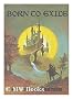 Born to exile / Phyllis Eisenstein ; ill. by Stephen E. Fabian - [Summary: The solitary wanderings of a minstrel with preternatural powers lead him to many adventures before he is ultimately restored to his supernatural antecedents...]