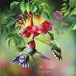 Summer Hummer, 1000 pc