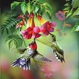 Summer Hummer, 1000 pc