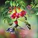 Summer Hummer, 1000 pc