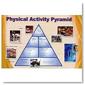 Physical Activity Pyramid (Exercise Chart) Art Poster Print - 24x36