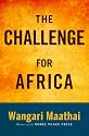 The Challenge for Africa