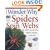 I Wonder Why Spiders Spin Webs and Other Questions About Creepy-crawlies