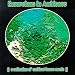 Music : Excursions in Ambience 1