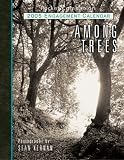 Among Trees 2005 Engagement Calendar