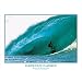 Woody Woodworth "Banzai Pipeline" Surfing Poster