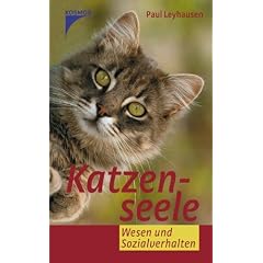 Katzenseele: Wesen und Sozialverhalten